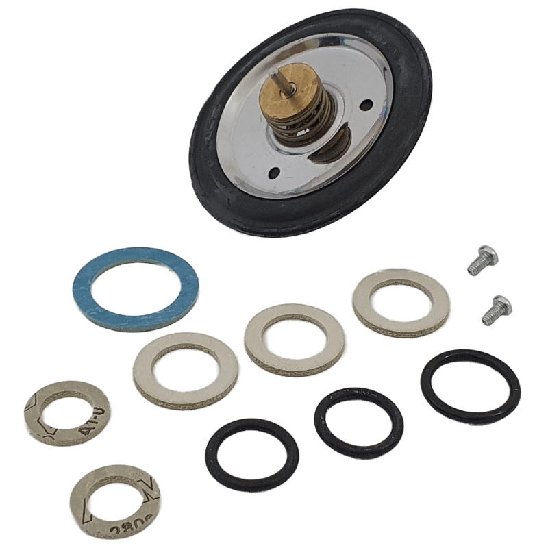 Diaphragm Kit Cb24/28