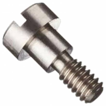 Shouldered Screw